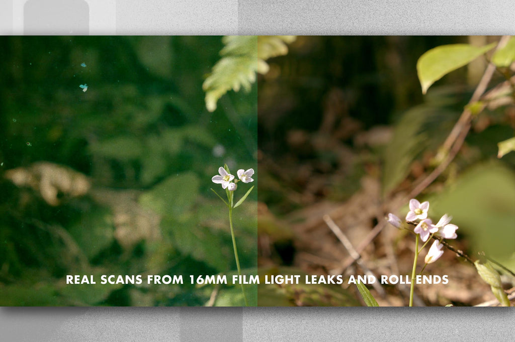 Celluloid: Film Textures for Video and Design-Chroma Supply