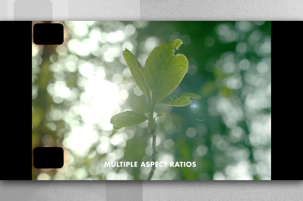 Celluloid: Film Textures for Video and Design-Chroma Supply