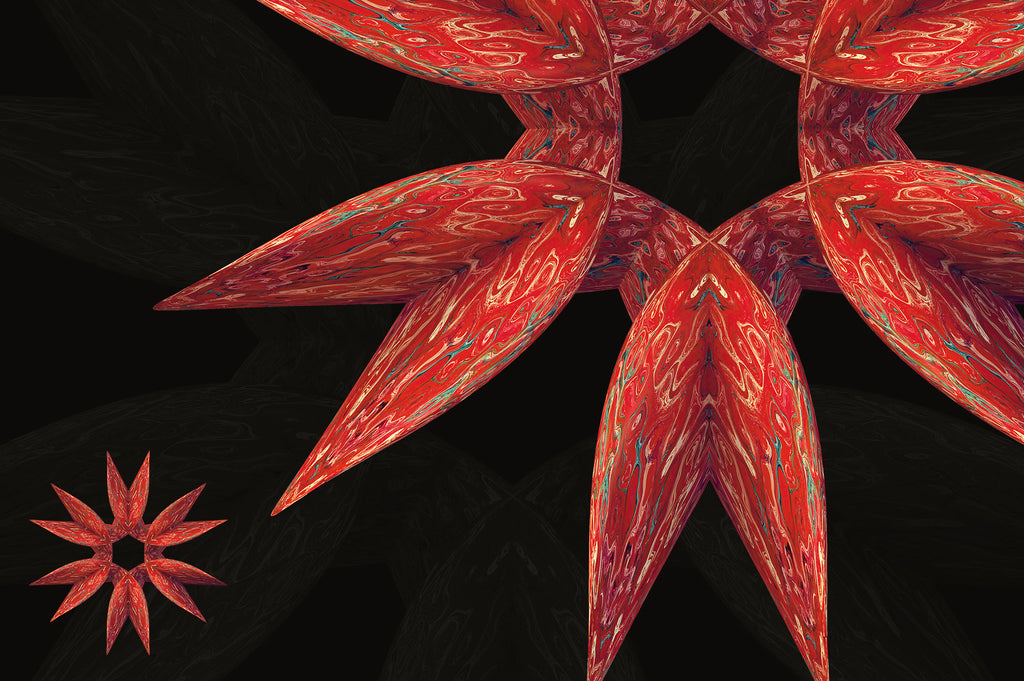 Symmetry: 15 Abstract Mandala Shapes-Chroma Supply