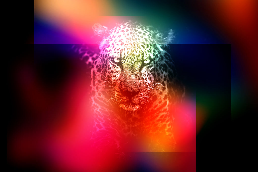Lucid: Vibrant Blur Overlays-Chroma Supply