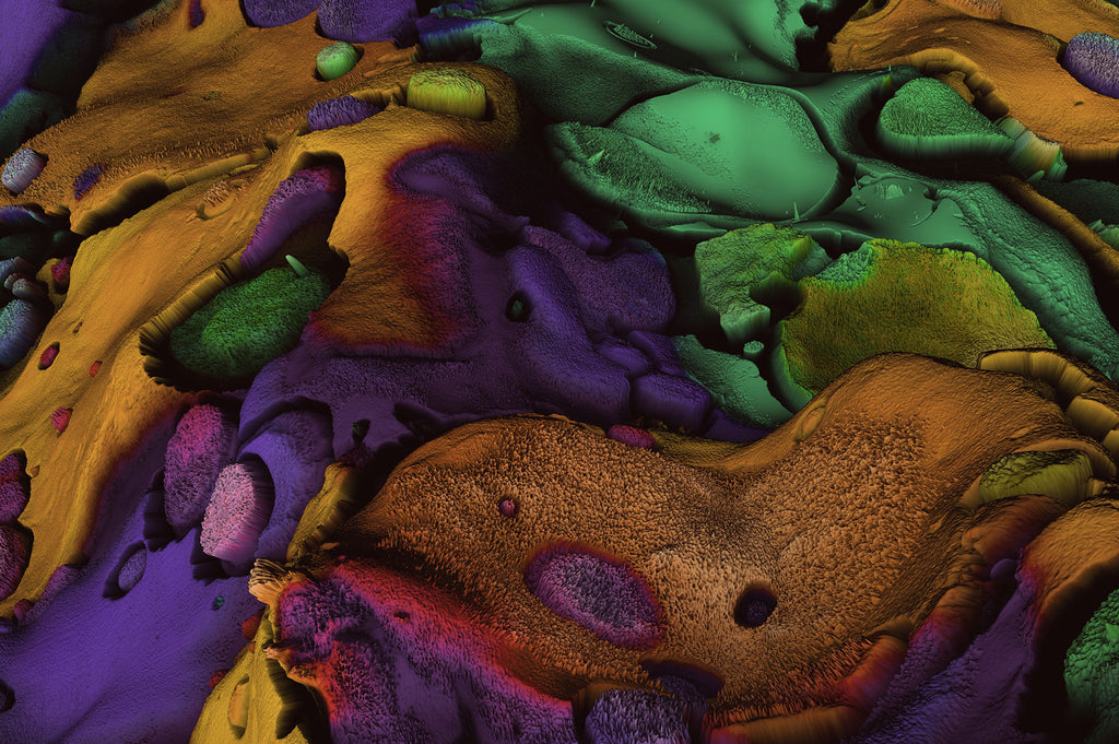 Terrain, Vol. 2: Abstract 3D Landscapes-Chroma Supply