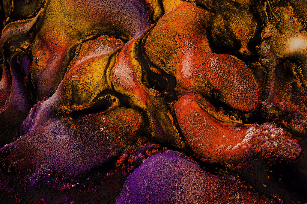 Terrain: Abstract 3D Landscapes-Chroma Supply