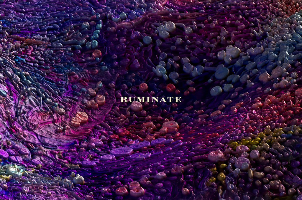 Ruminate: Experimental 3D Paint Textures-Chroma Supply