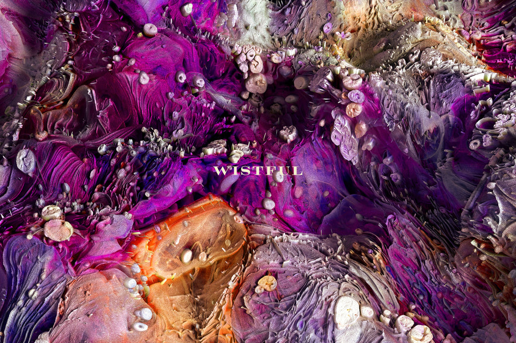 Wistful: Experimental 3D Paint Textures-Chroma Supply