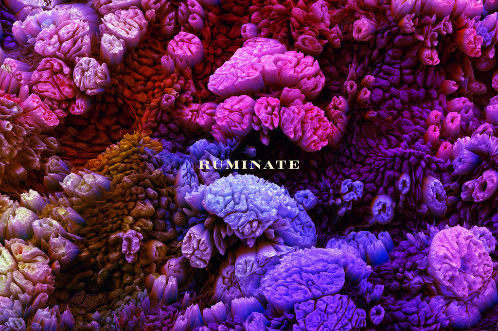 Ruminate: Experimental 3D Paint Textures-Chroma Supply