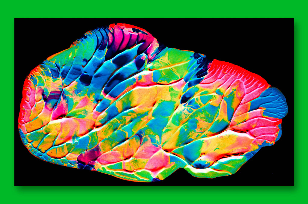 Abstract Paint, Vol. 9-Chroma Supply