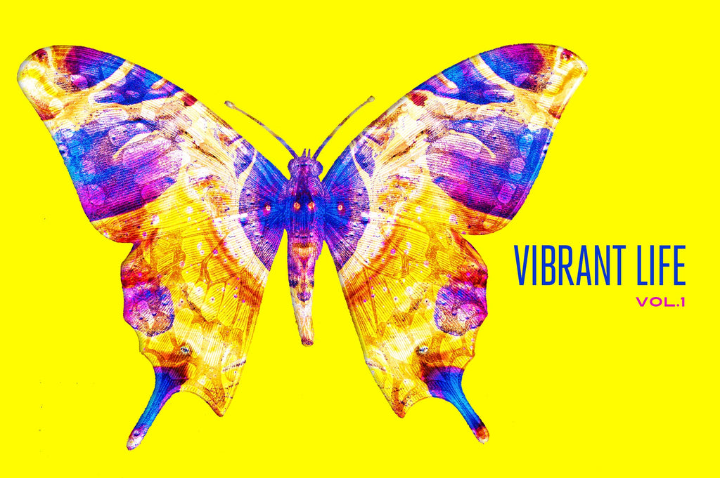 Vibrant Life: Isolated Abstract Animal Illustrations-Chroma Supply