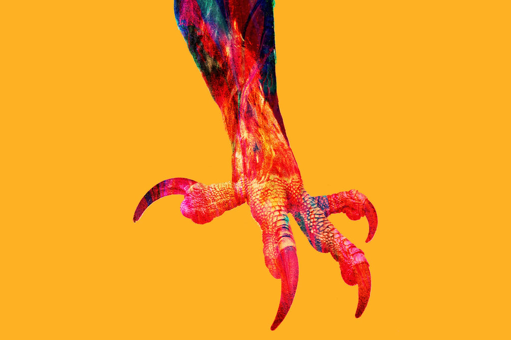 Vibrant Life: Isolated Abstract Animal Illustrations-Chroma Supply