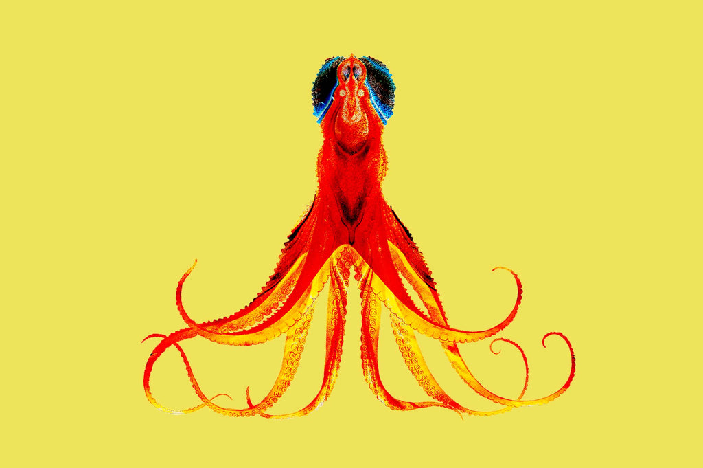 Vibrant Life: Isolated Abstract Animal Illustrations-Chroma Supply