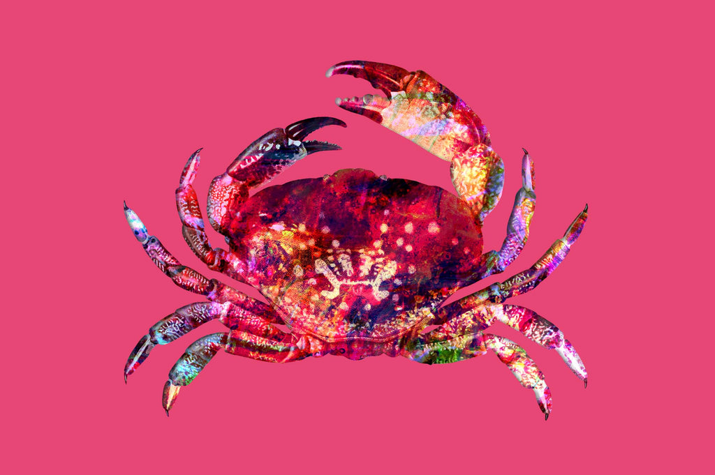 Vibrant Life: Isolated Abstract Animal Illustrations-Chroma Supply