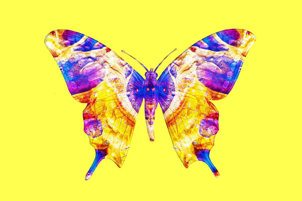 Vibrant Life: Isolated Abstract Animal Illustrations-Chroma Supply