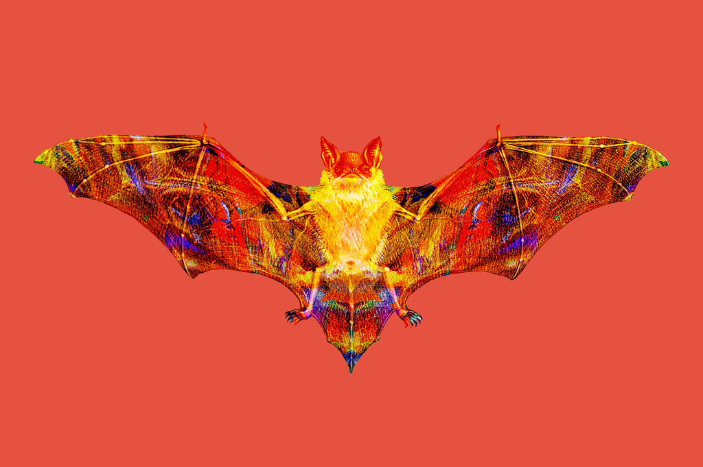Vibrant Life: Isolated Abstract Animal Illustrations-Chroma Supply