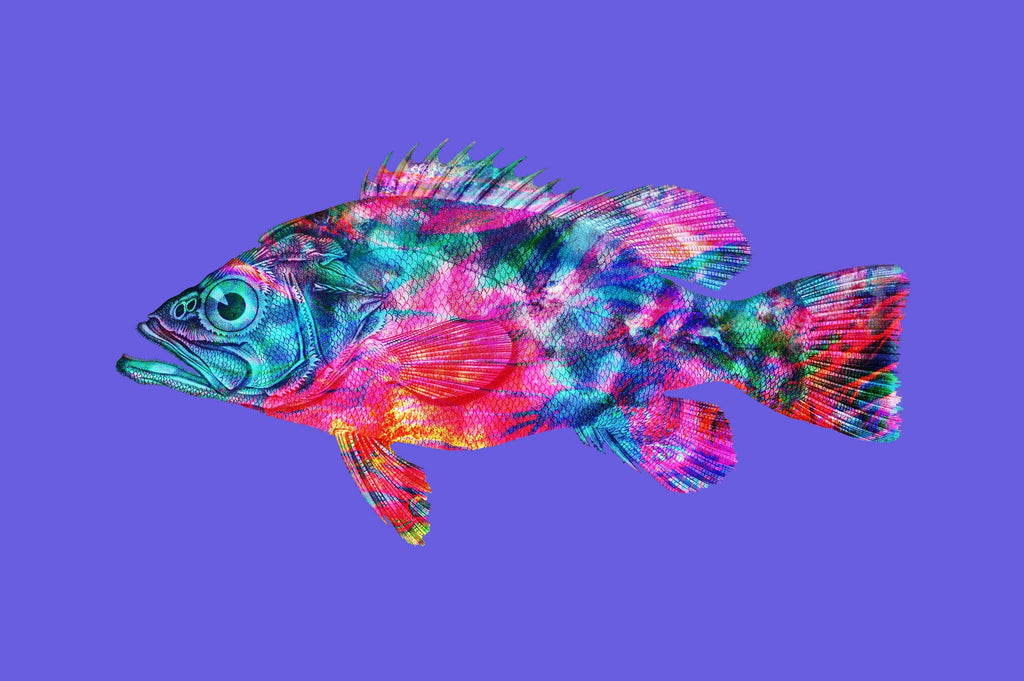 Vibrant Life: Isolated Abstract Animal Illustrations-Chroma Supply