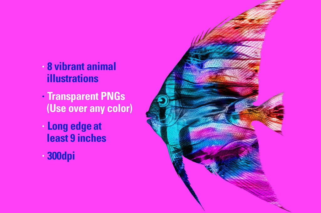 Vibrant Life: Isolated Abstract Animal Illustrations-Chroma Supply